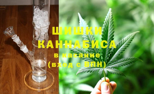 прущие грибы Алзамай