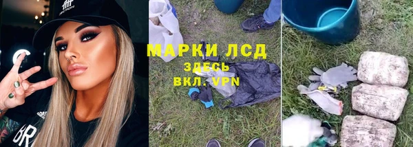 прущие грибы Алзамай